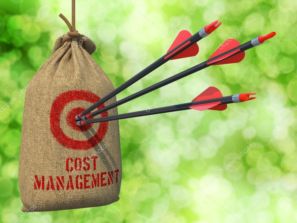 CFO on Demand omawia strategię rozwoju firmy z właścicielem